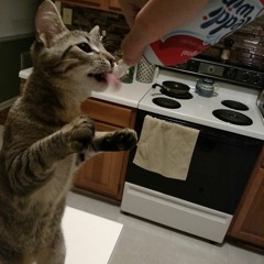 050415 A.R.T Modular Jam With 'Sous Les Paves'