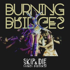 Burning Bridges (Single-Radio edit)