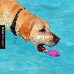 Pleasure and Pain