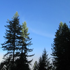 John Firshi White Bird Hill Clip