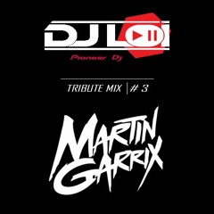 MARTIN GARRIX - DJLOI Tribute-Mix #3