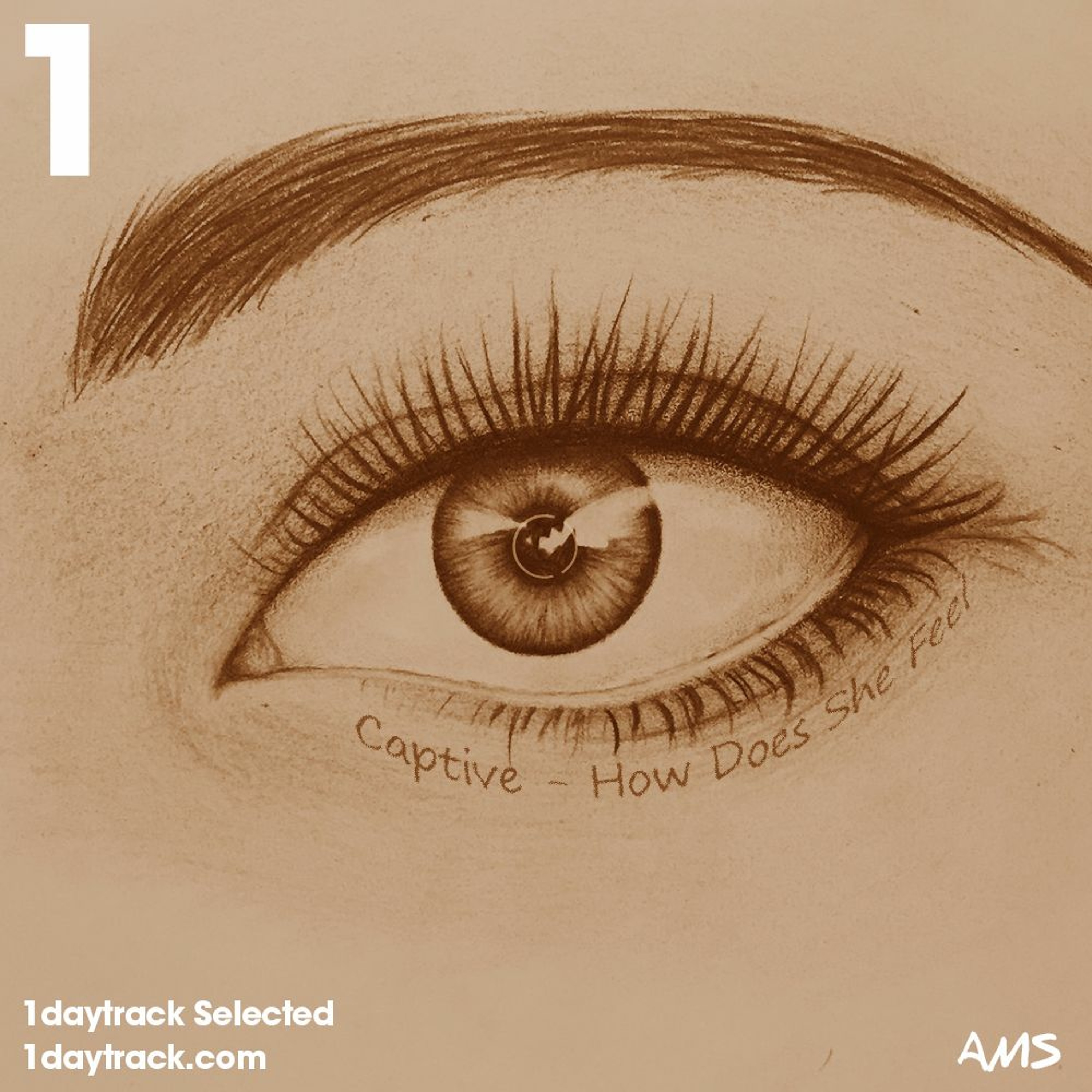 1daytrack.com