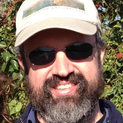 Random Composition Samples