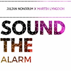 Sound The Alarm (Original Mix)