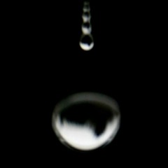 Expression of a Particular Speculation