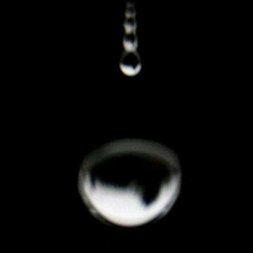 Expression of a Particular Speculation