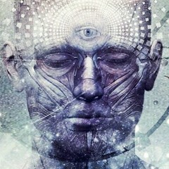 Pineal