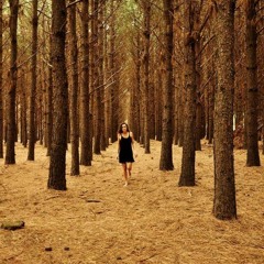 Por el bosque