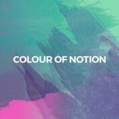 Colour Of Notion - Stranger (Demo)
