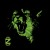 Artwork for Ratatat - Loud Pipes (CloZee Remix)