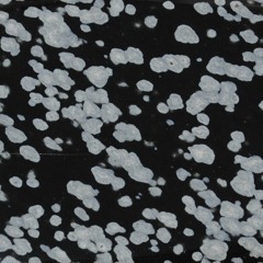 snowflake obsidian