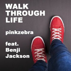 Walk Through Life