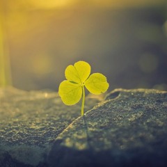 A New Day