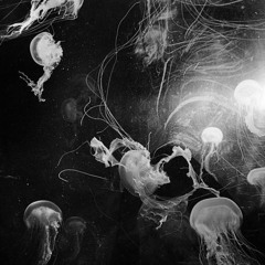 untitled [prod. jay-r]