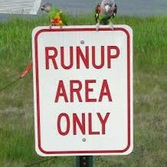 Run Up!