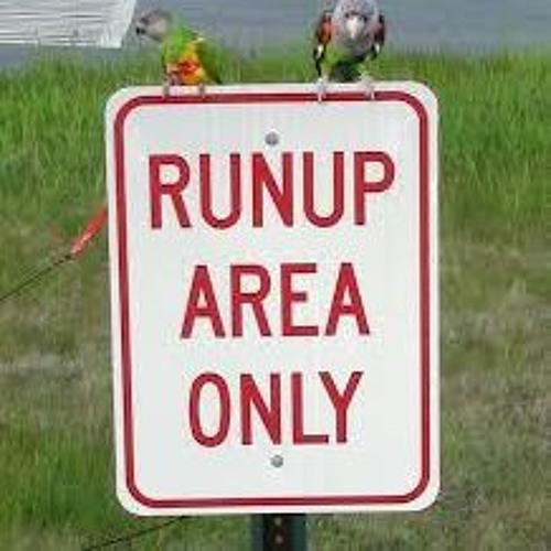 Run Up!
