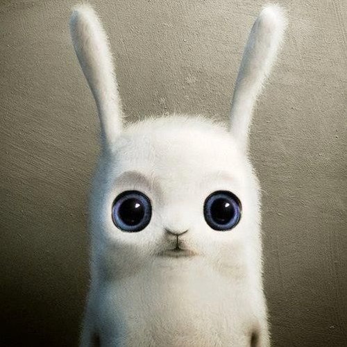 low rabbits - Carrots podcast