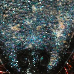 Vinegaroon Uh, Polka