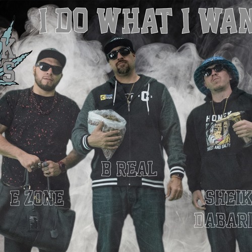 I do what I want by We Don't Smoke The Same ft B Real