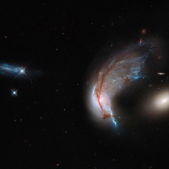 A Cautionary Tale - Don't Lie To Yourself