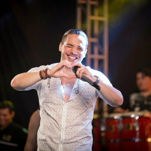 FORRÓ NOVO 2016 - CAPA LOUCA ( WESLEY SAFADÃO )