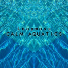 Calm Aquatics