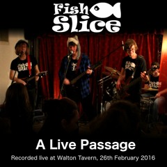 Vintage Phase (Live Encore Version)