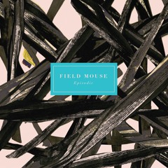 Field Mouse - Do You Believe Me Now