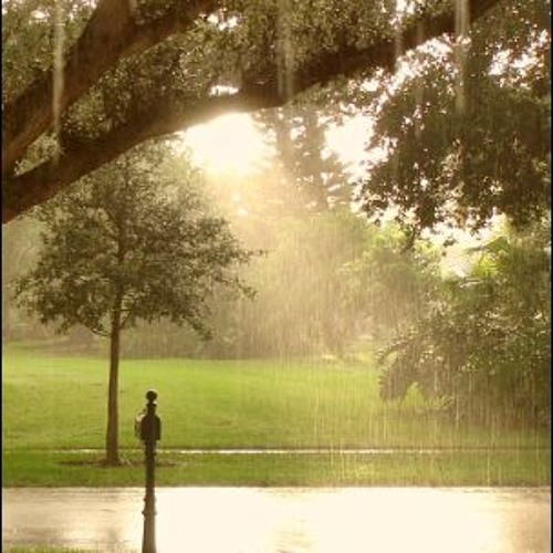 Stream sun shower by ProfeK Listen online for free on SoundCloud