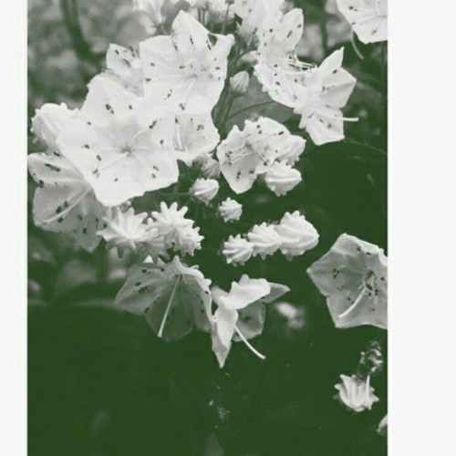 simplicity