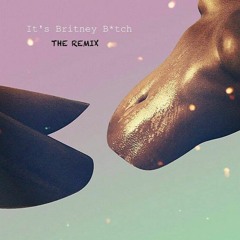 It's Britney B*tch (The  Remix)