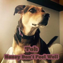 Honey Don't Feel Well