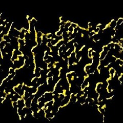 Lapidate - Clap Beyond the Grave