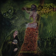 Spawn Of Annihilation - Absortion For The Creation