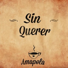 Sin Querer