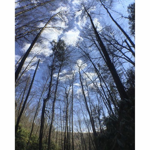 Spring in the Sky Progressive Mix
