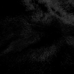 Lil' H & Don Malote - Masters of Ceremony