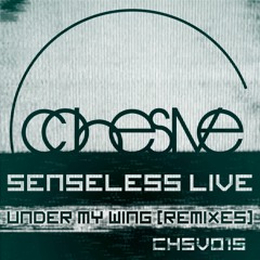 CHSV015 Senseless Live - Sunrise Pilgrum (David Granha Sunset Mix) PREVIEW