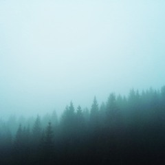 Terra Incognita - Original Mix