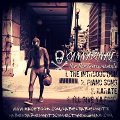 The Introduction (Instrumental)