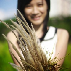 Chỉ Là Thoáng Qua - Thùy Chi