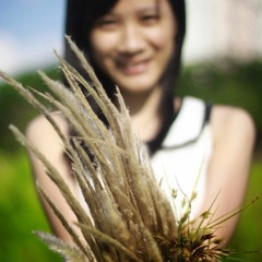 Nhạc Việt