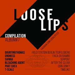Doubtingthomas - Field Station Berlin Teufelsberg (Loose Lips Compilation Album #7)