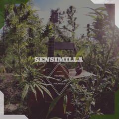 Promise No Promises - SENSIMILLA (#riddimaddictReggae)