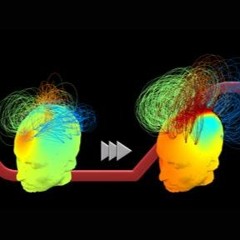 Brain, body and mind: new directions in the neuroscience and philosophy of consciousness