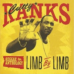 CUTTY RANKS - LIMB BY LIMB (MADFUNKZ & DUTCH FLAVOURZ) SNIP