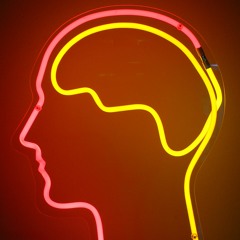 Intelligence and learning in brains and machines