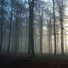 Taylor Swift - Safe And Sound (Cover)