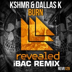 Burn (iBAC Remix) - KSHMR & DallasK