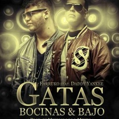 Daddy Yankee Ft Farruko - Gatas Bocina & Bajo (Version Cumbia) Dj Kapocha